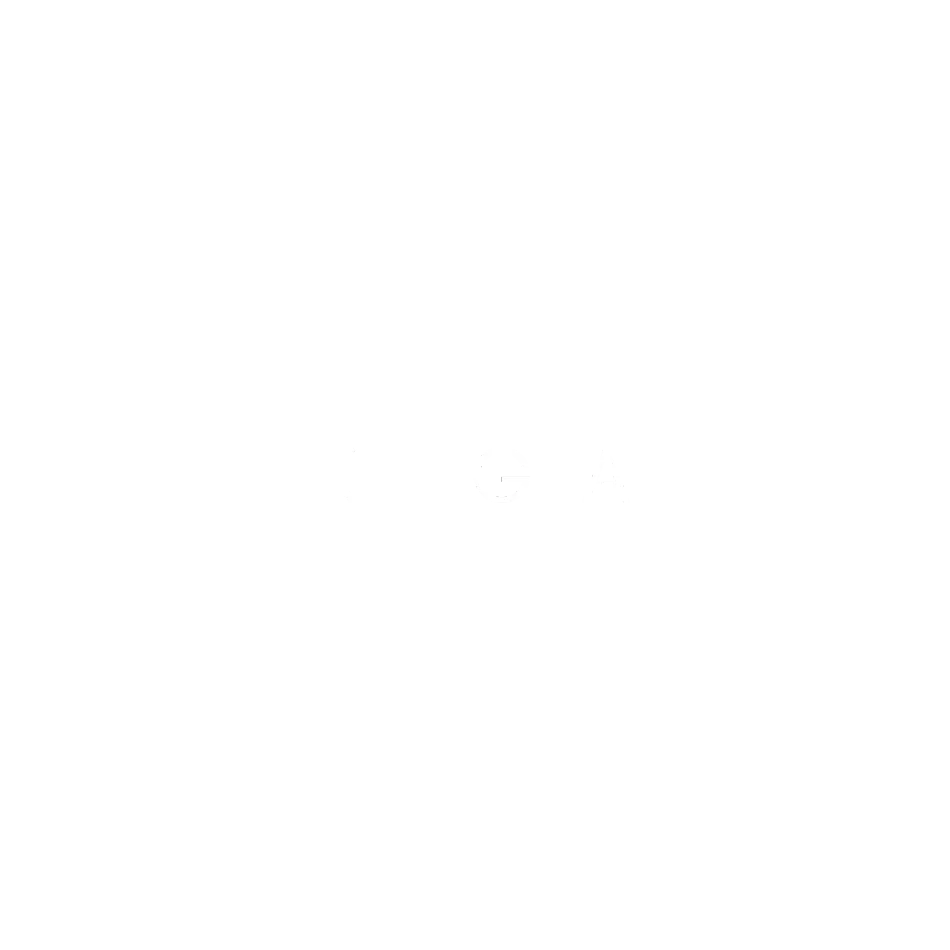 Ikigai Cover Title Text